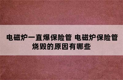 电磁炉一直爆保险管 电磁炉保险管烧毁的原因有哪些